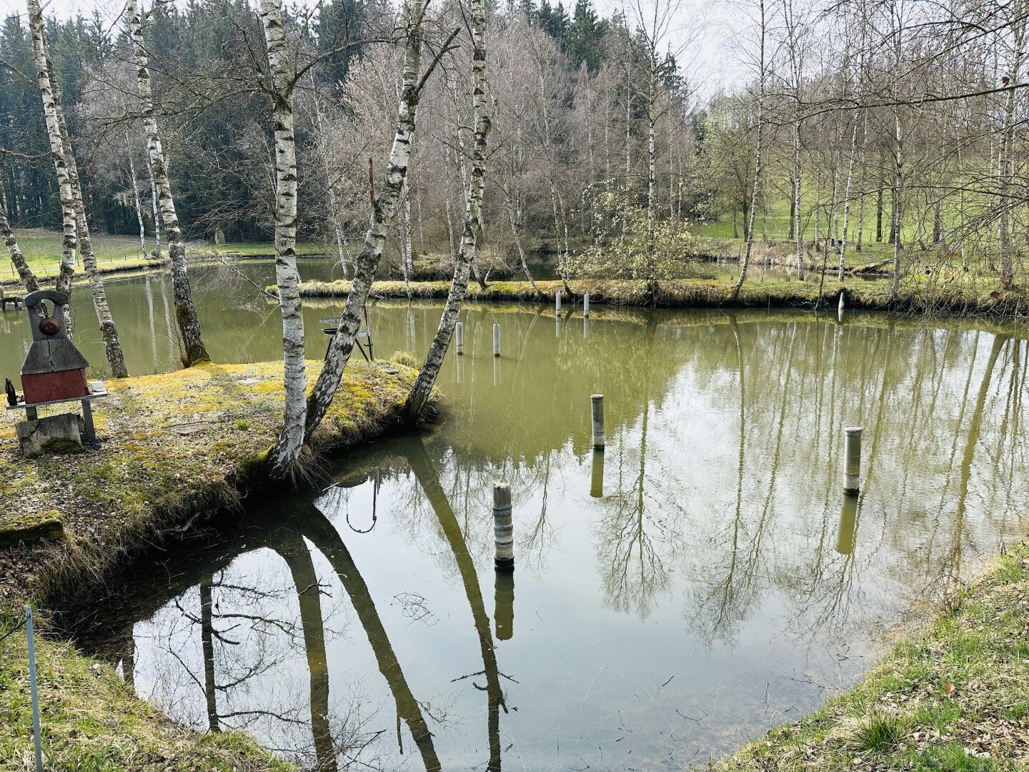 Idyllisches Freizeitdomizil in absoluter Ruhelage - Ein Paradies für Naturliebhaber - Ansicht 6