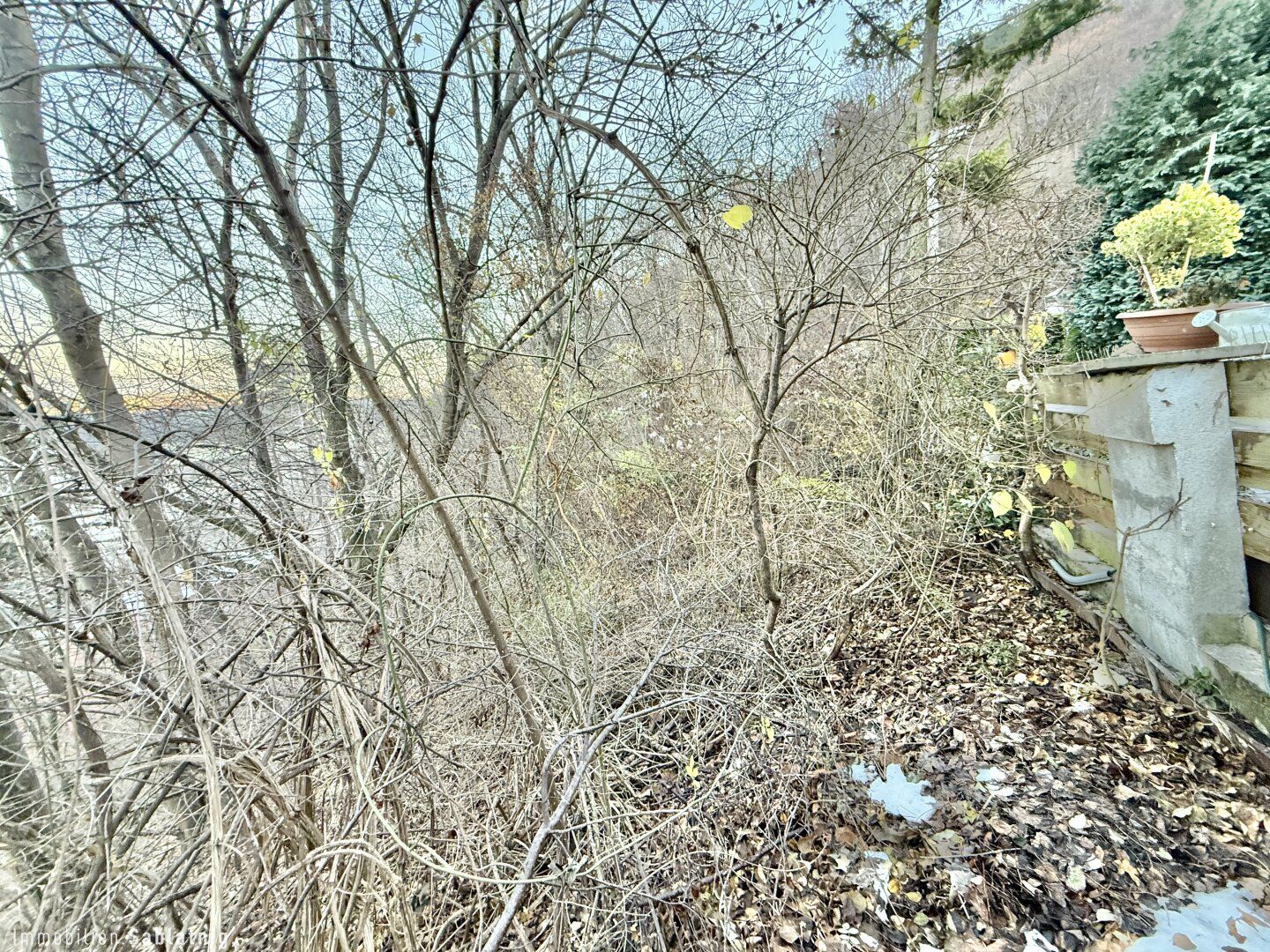 Traumhaftes Grundstück im Naturschutzgebiet - 880 m² mit Berg- und Donaublick! - Ansicht 4