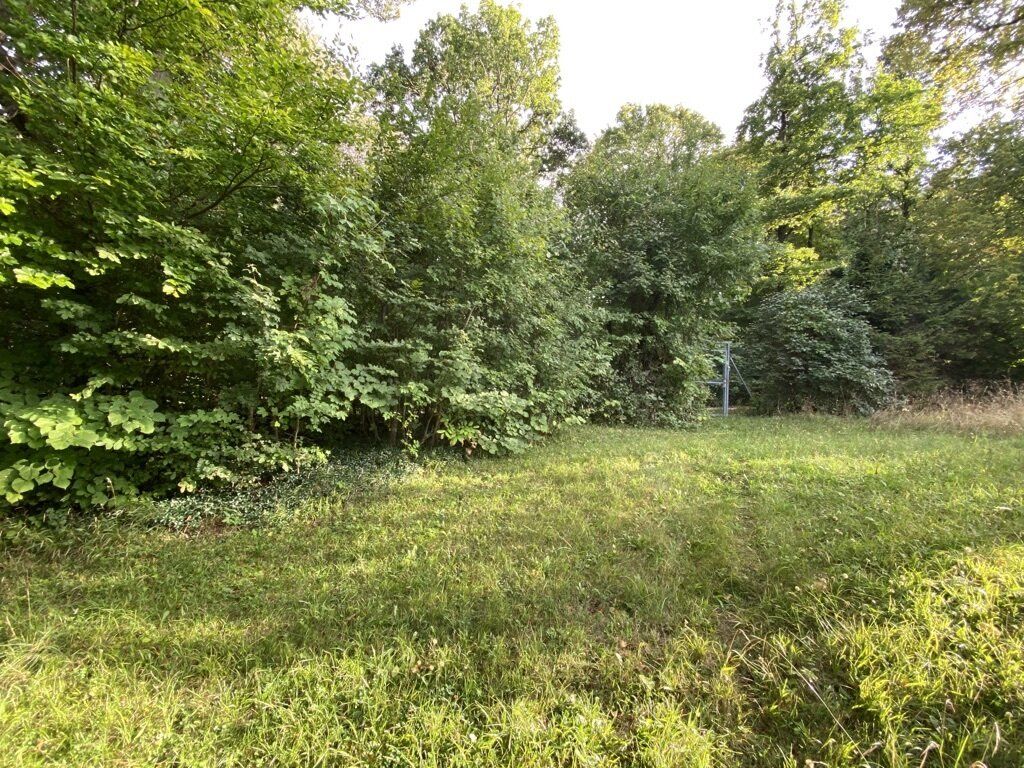 PREISREDUKTION! 973 m² Grundstück in absoluter Grünruhelage 1140 Wien ideal für ein Eigenheim ! - Mehr