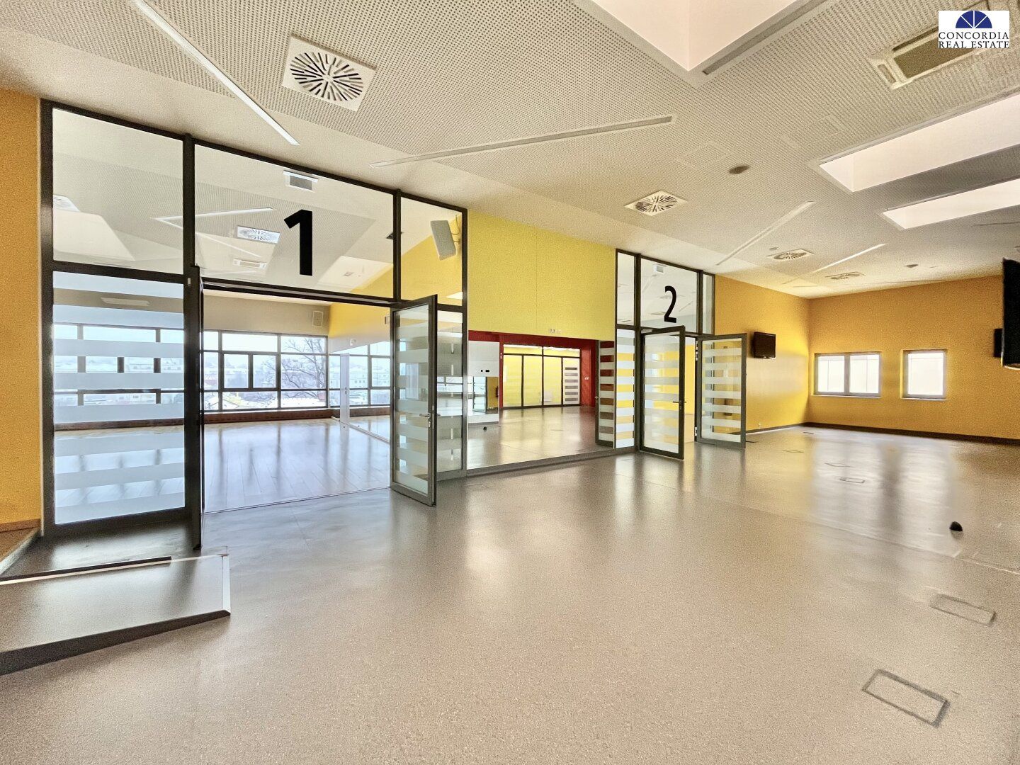 Großzügige Gewerbefläche im Multiversum Schwechat - Ideal für Gesundheit, Fitness & Medizin - Ansicht 4