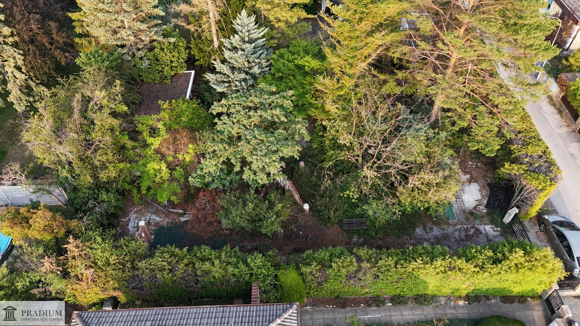 Ideal geschnittener Baugrund für Ihr Einfamilienhaus - Altbaumbestand - ruhig, grün, sofort verfügbar - Ansicht 4