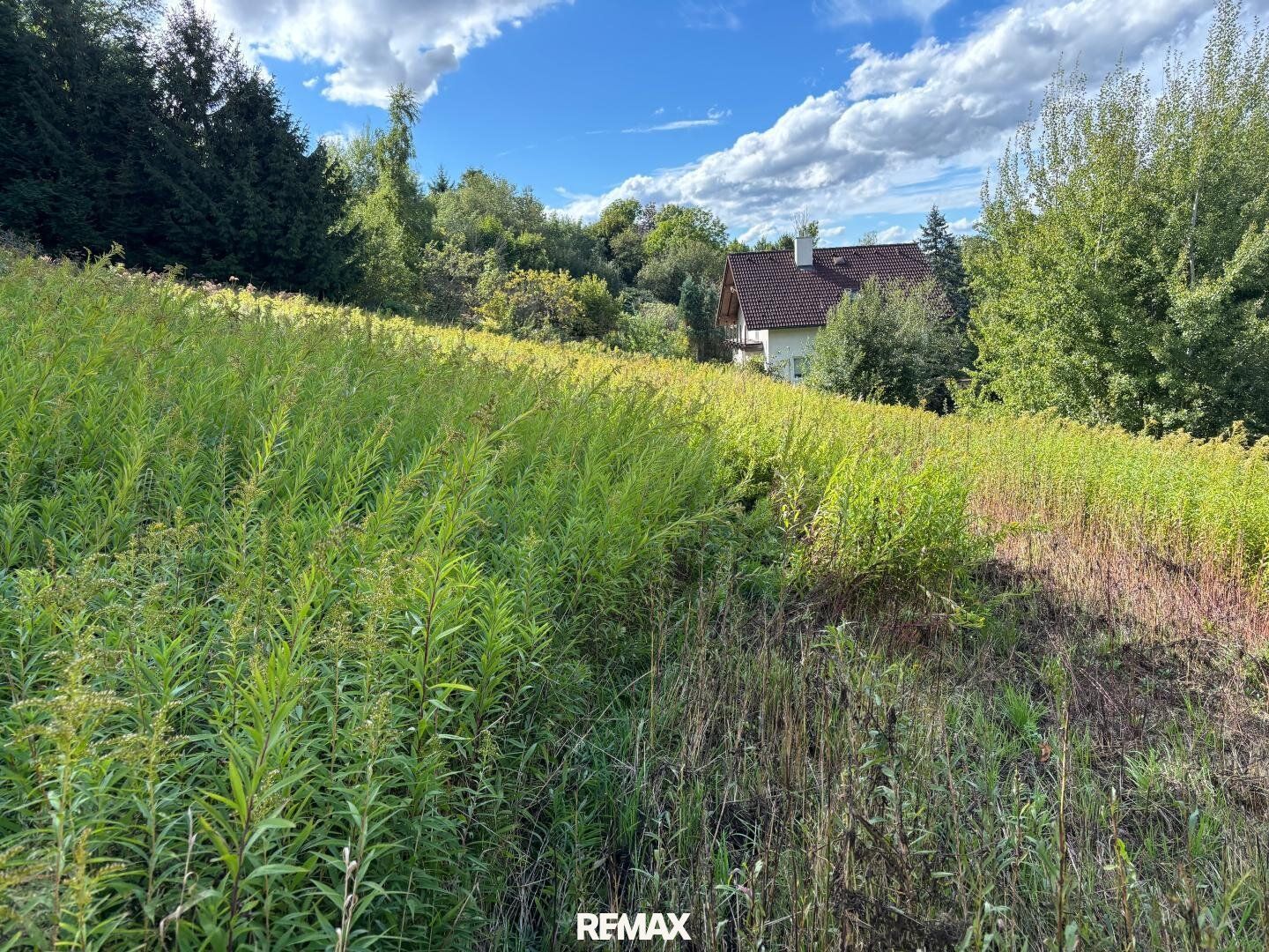 Baugrundstück ohne Bauzwang in idyllischer Grünlage - Ansicht 2