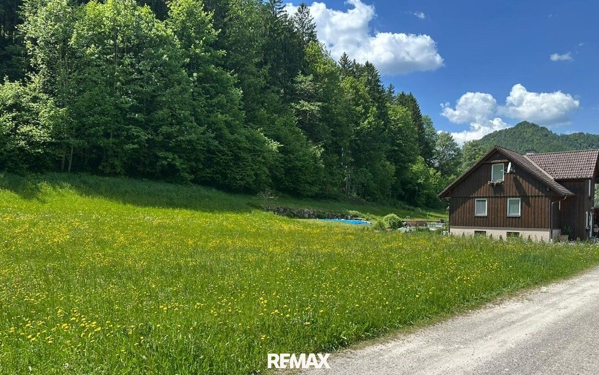 Baugrundstück in Naturlage - Ansicht 2