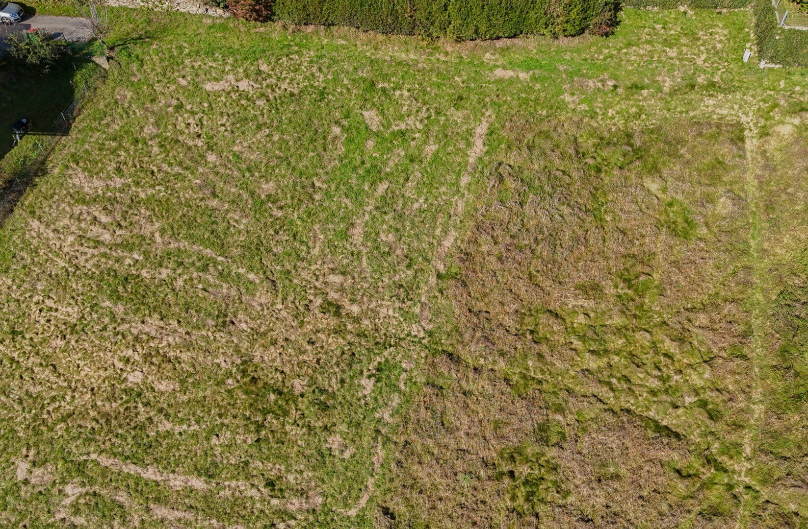 *** Sonniges Südhanggrundstück in Liebenfels *** - Ansicht 5