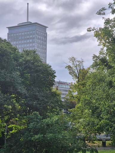 Wohnung – Wien