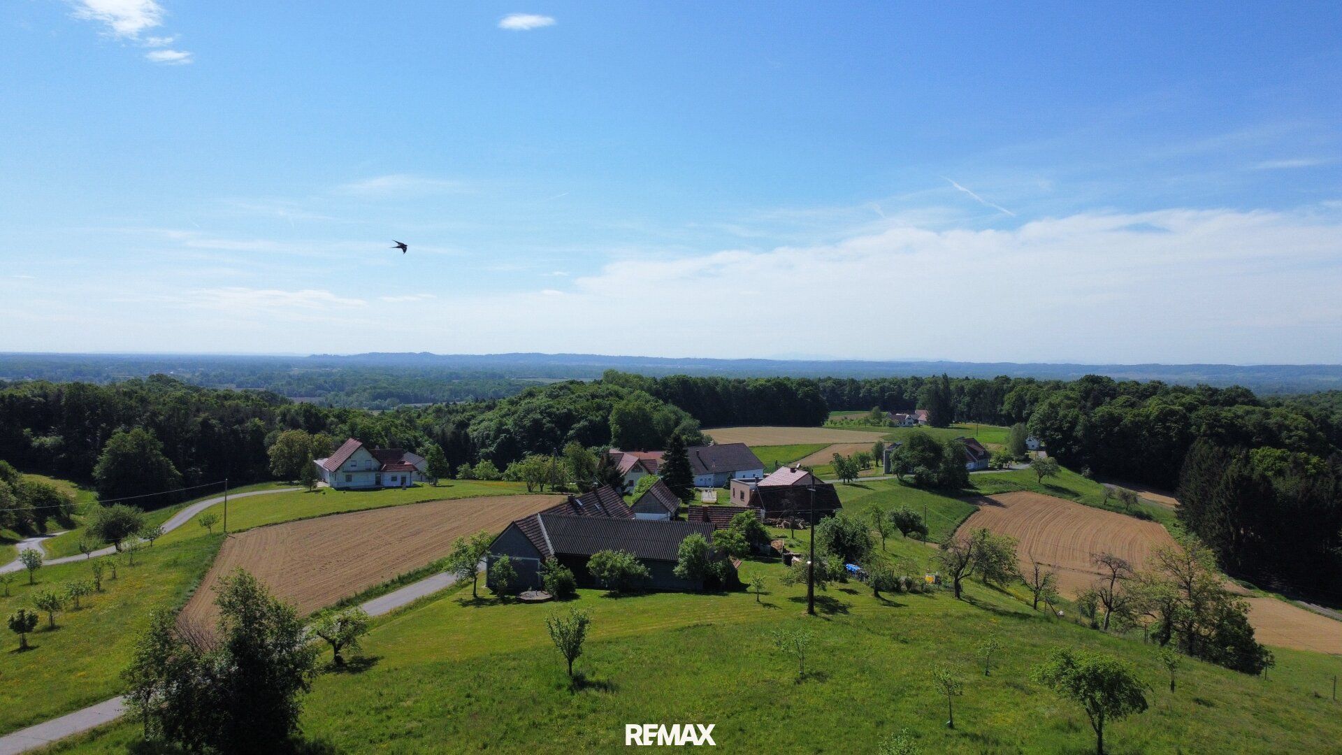 Sonnige Landwirtschaftsfläche mit vielseitigem Potenzial - ideal für Tierhaltung & Naturprojekte - Ansicht 2