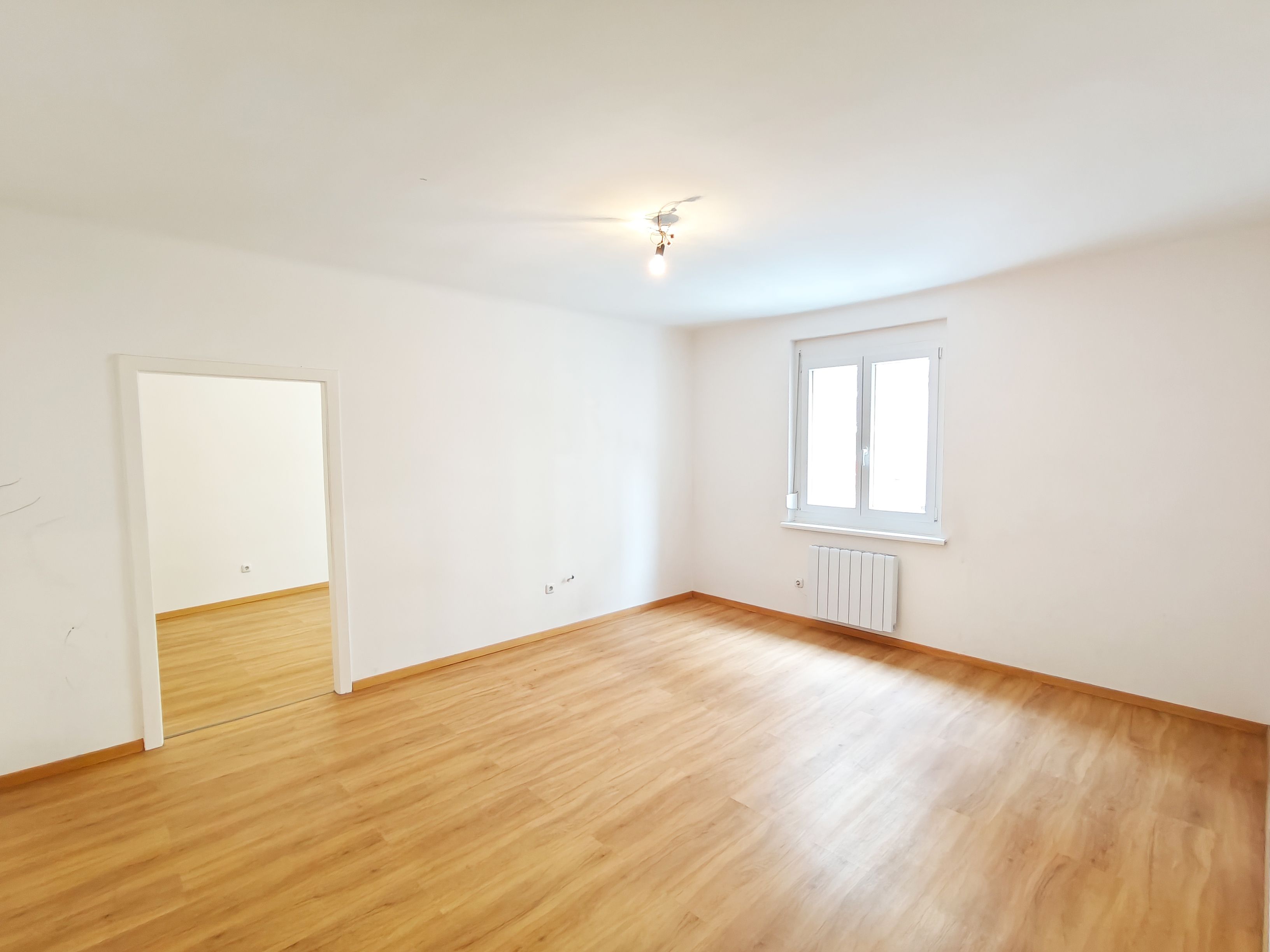 [Privat] 2 Zimmer, Hochparterre, hell, ruhig, Fasanviertel, Schweizergarten, Botanischer Garten