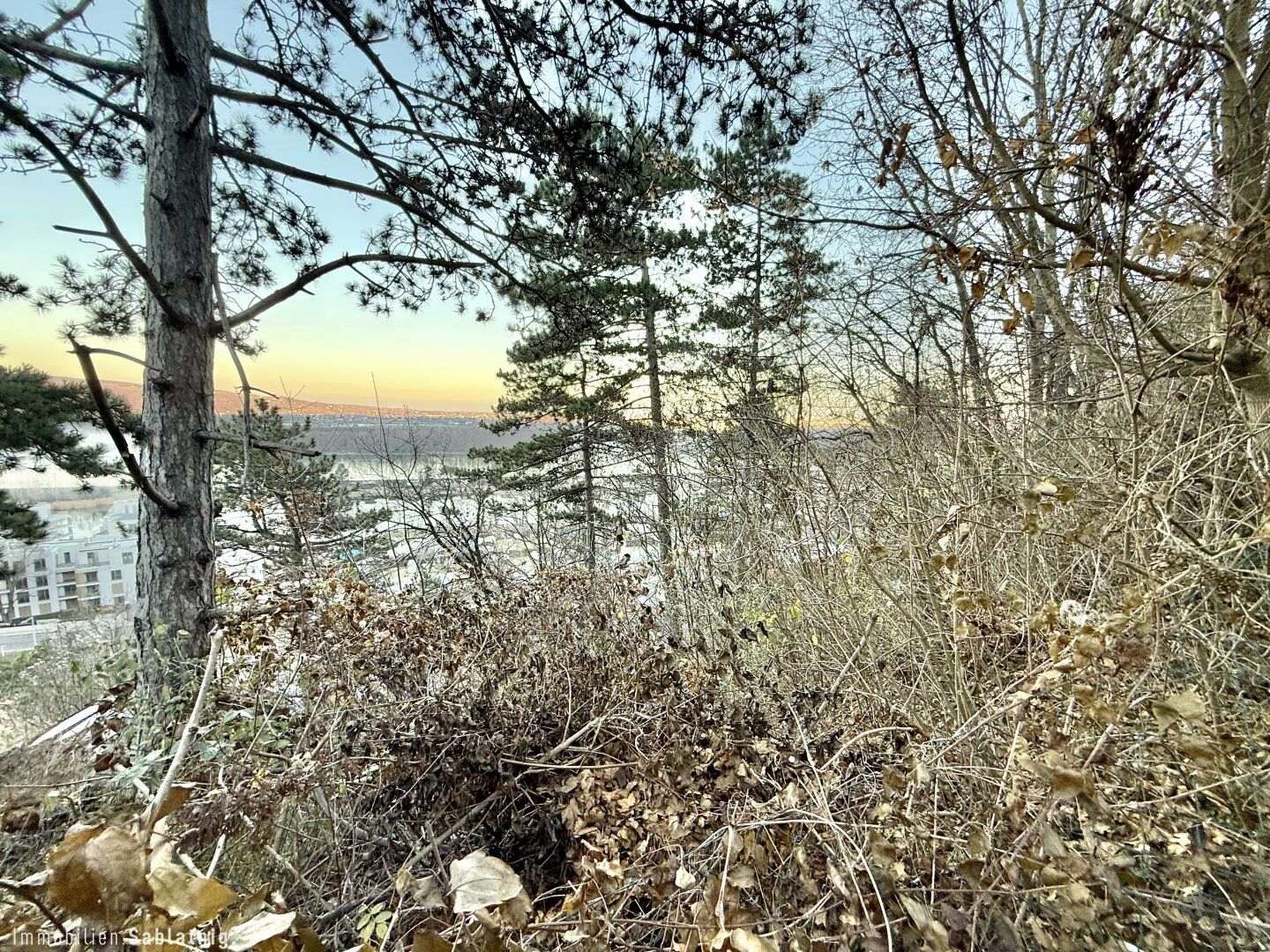 Traumhaftes Grundstück im Naturschutzgebiet - 880 m² mit Berg- und Donaublick! - Ansicht 5