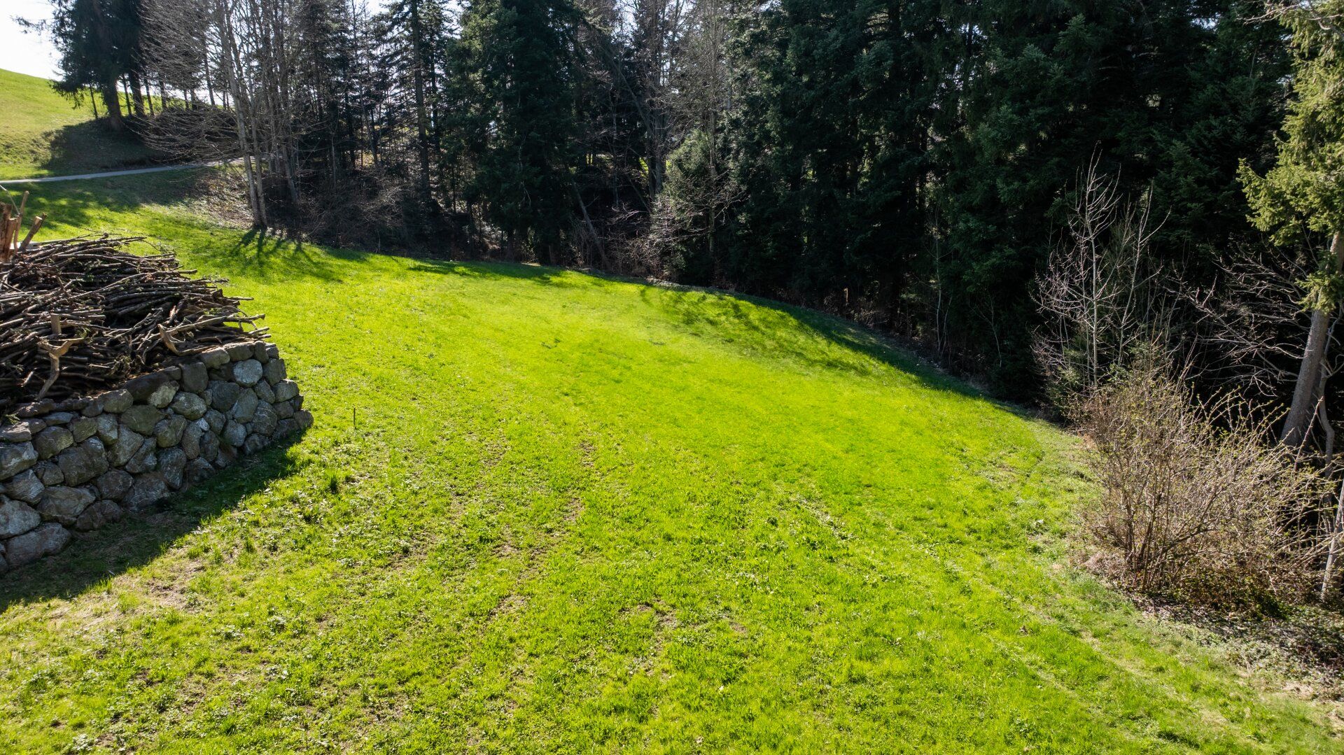 Möggers | Großzügiges Grundstück (1.577 m²) - Ansicht 5