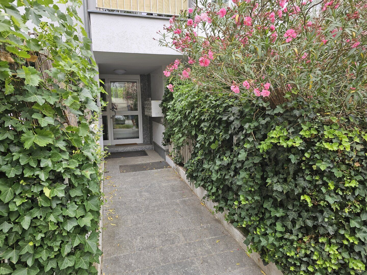 Ruhige, helle Wohnung mit Grünblick & großer separater Küche, Gartennutzung, Garage
