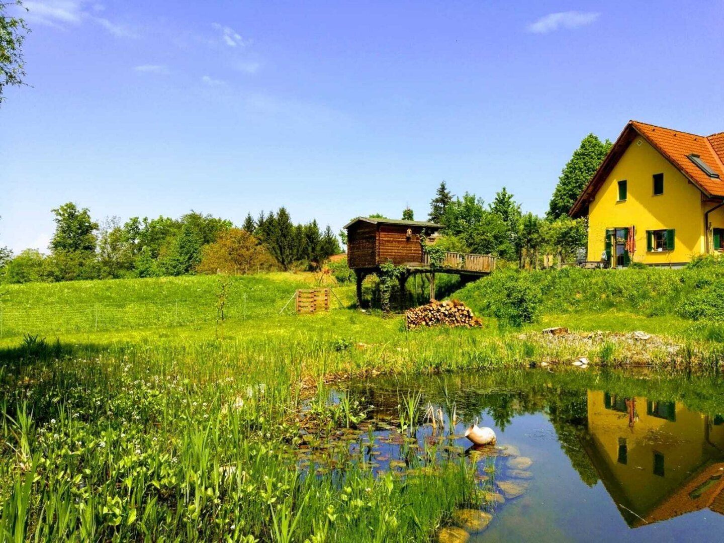 * Charmantes Landhaus in begehrter Aussichtslage am Wildoner Schlossberg! *