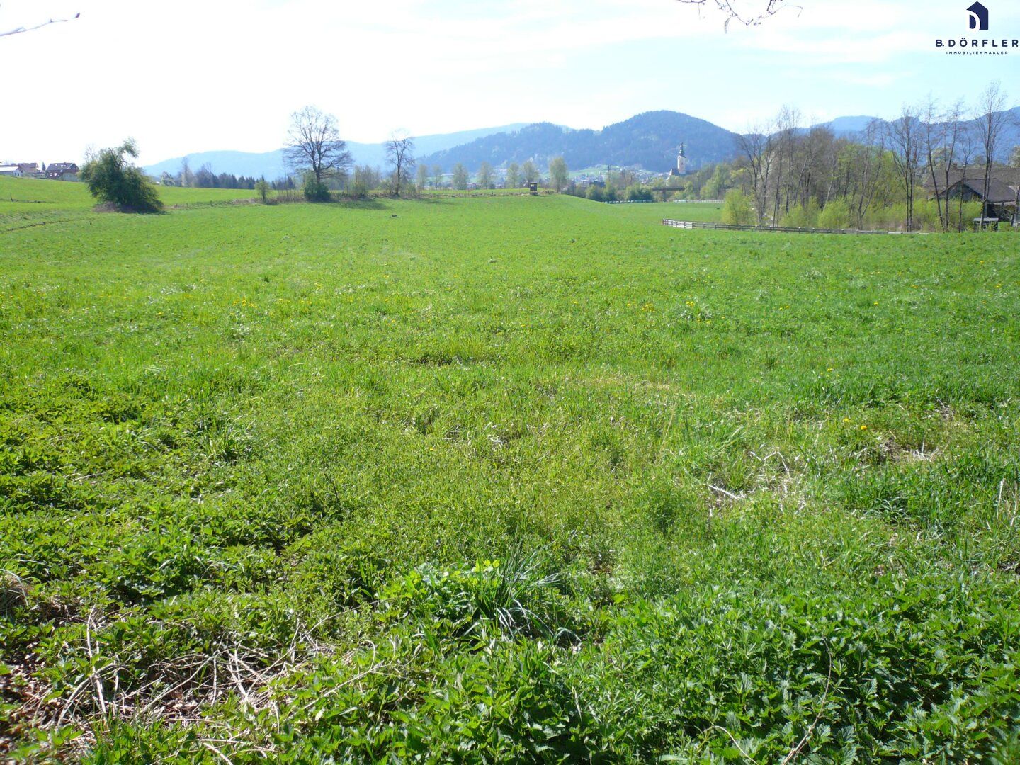 Ackerfläche (Bio-Fläche) nähe Feldkirchen/Stadt - Ansicht 2