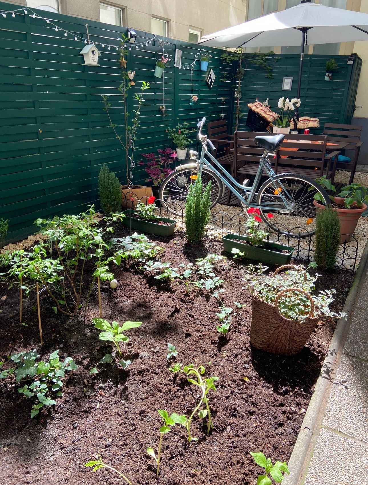 Wohnung – Wien, Reinprechtsdorf, Katastralgemeinde Margarethen - Ansicht 4