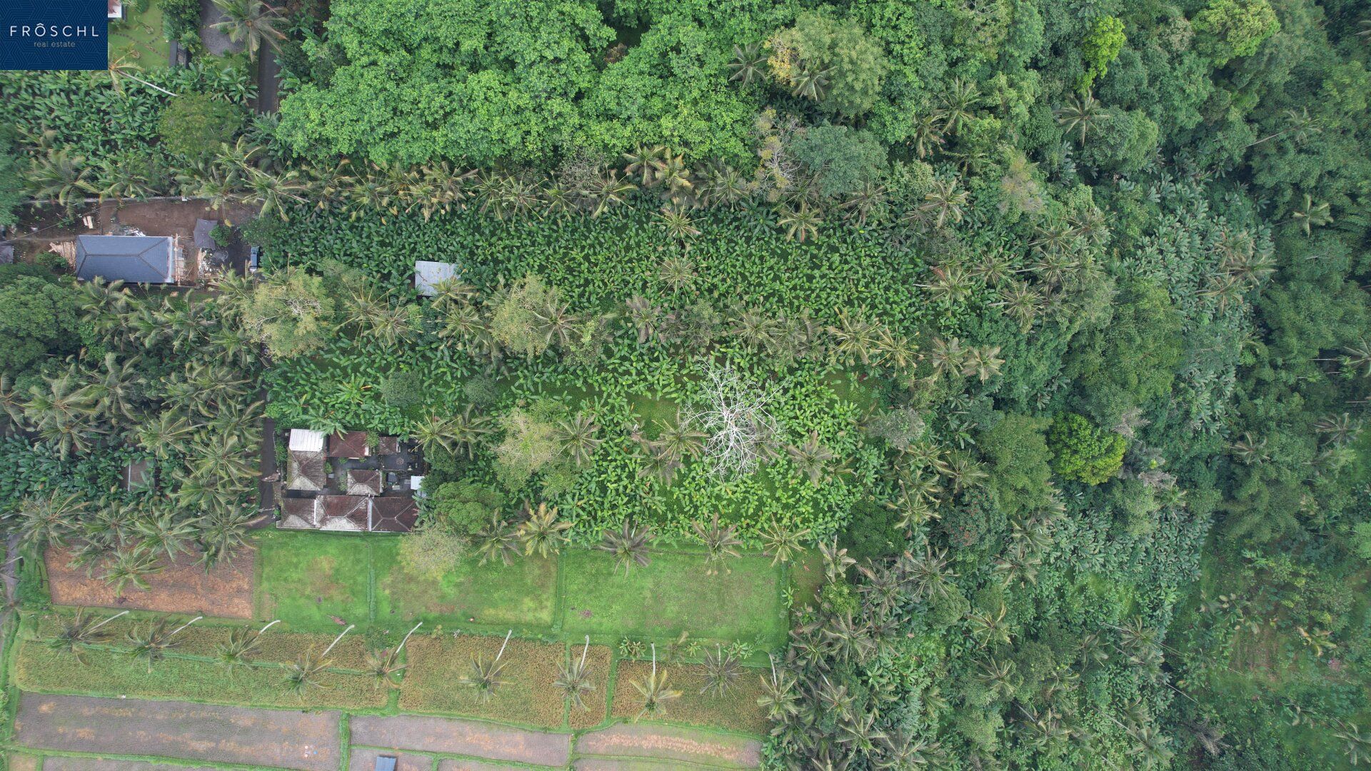 Ubud, Bali - Indonesien - 6.000 m² für Visionäre - Seltenes Freehold-Grundstück mit Tourismuswidmung