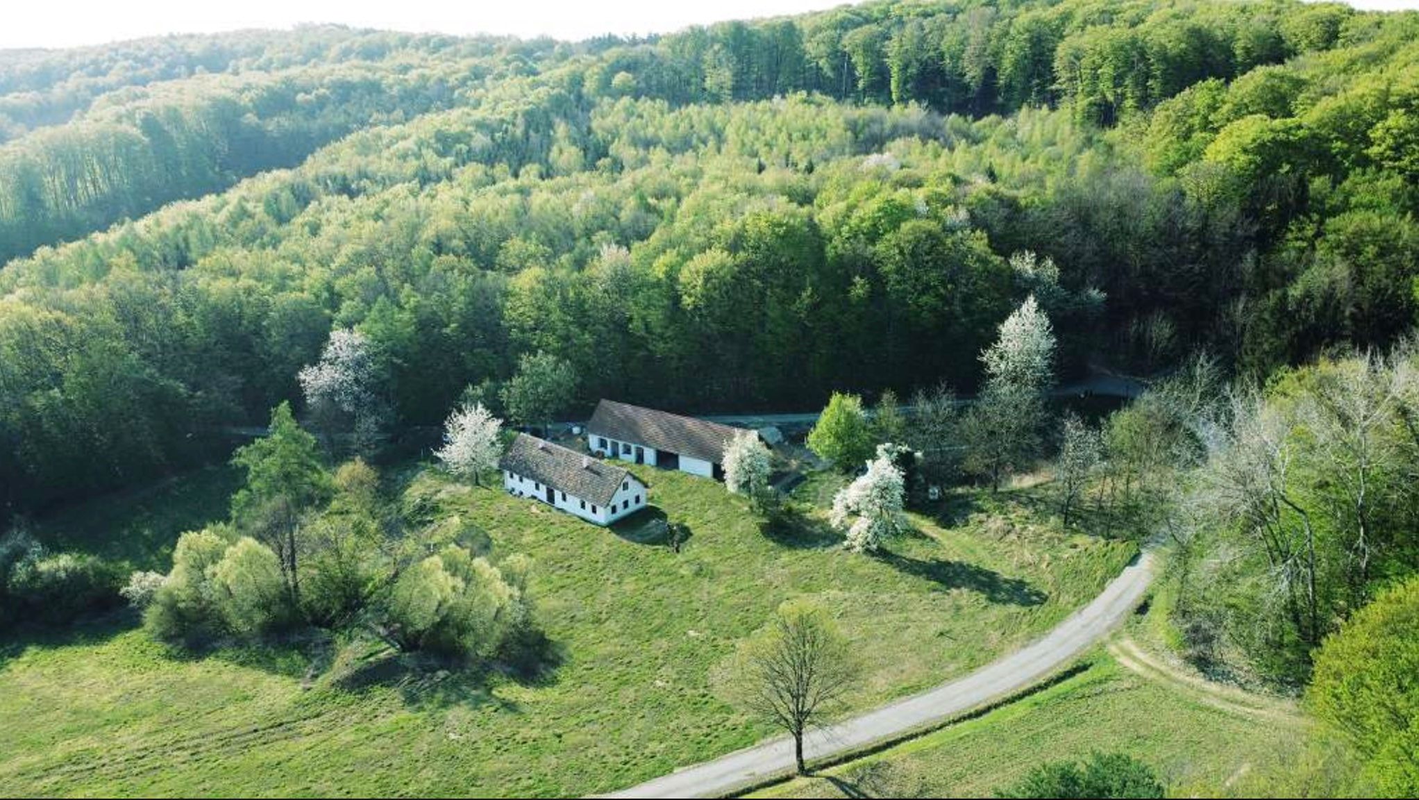 Bauernhaus in idyllischer Alleinlage im Südburgenland