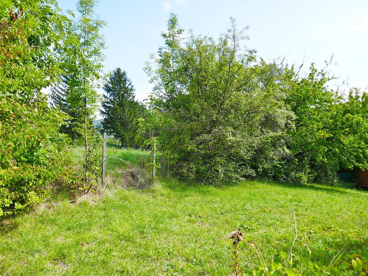 Baugrundstück in idyllischer Lage auf leichtem Südhang in Tulln-Nähe - Ansicht 4