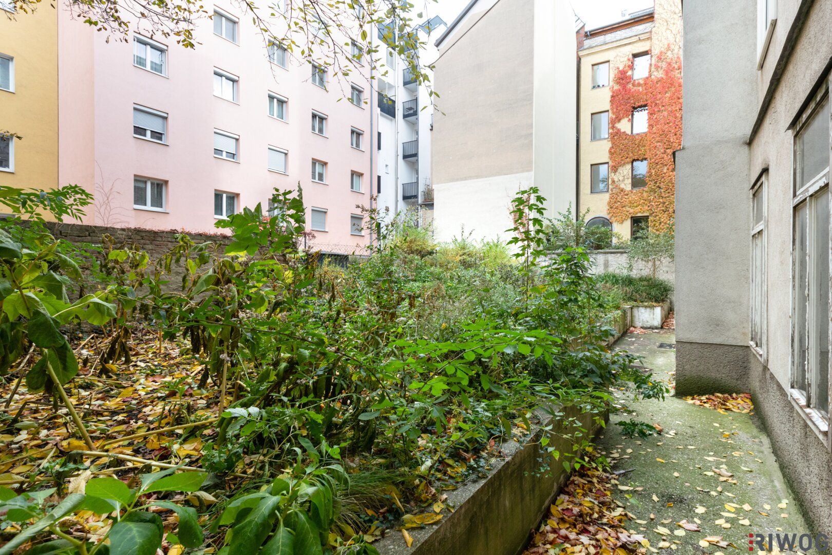 Wohnung – Wien - Ansicht 2