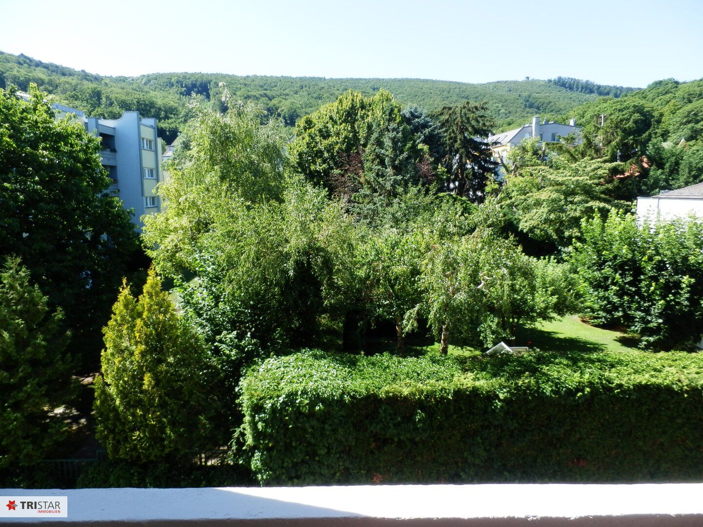 Geräumige Loggia-Wohnung mit schönem Grünblick