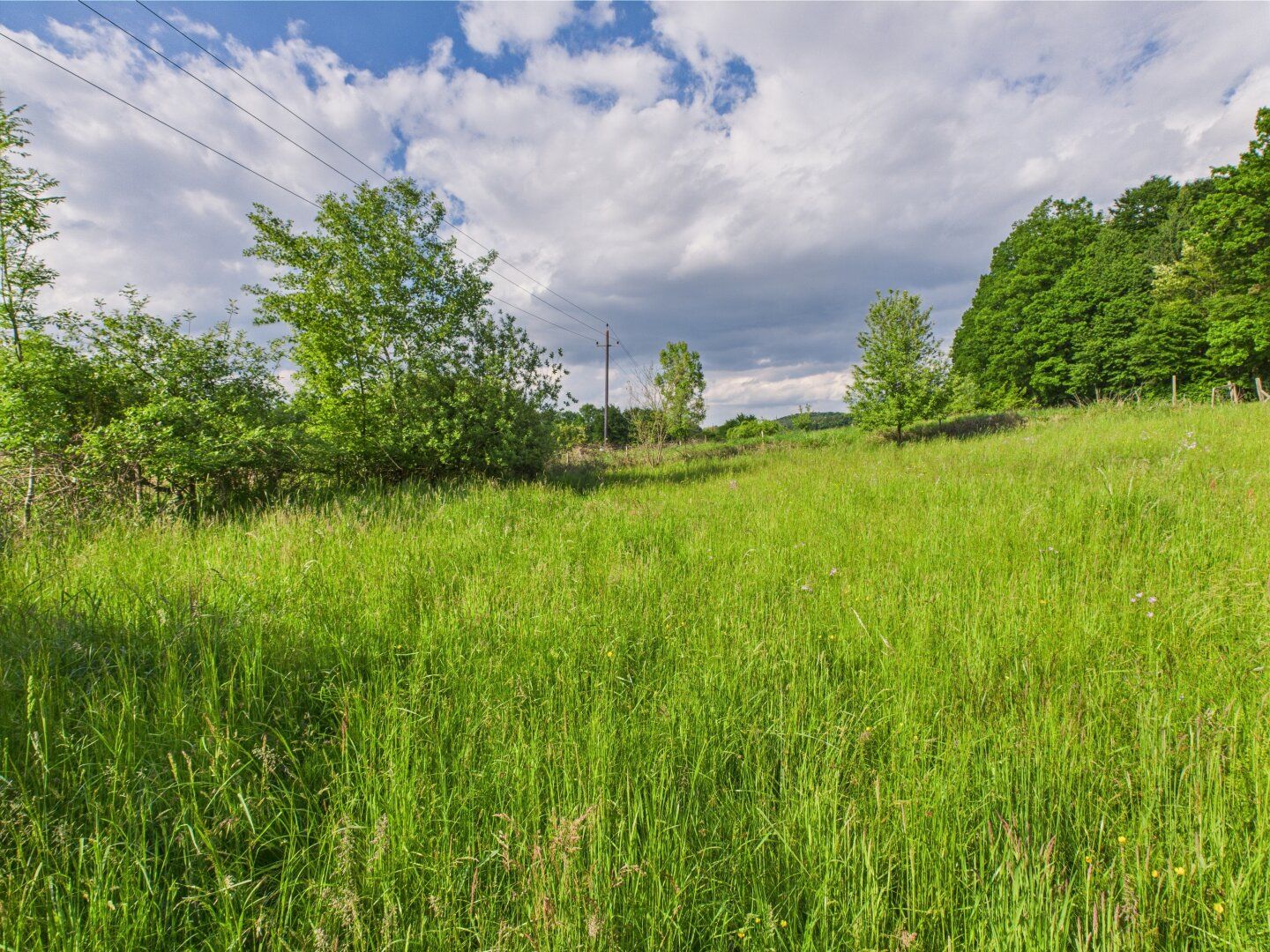 Oase der Ruhe mit Ausbaumöglichkeit - Grundstück für ein Leben im Einklang mit der Natur - Ansicht 3