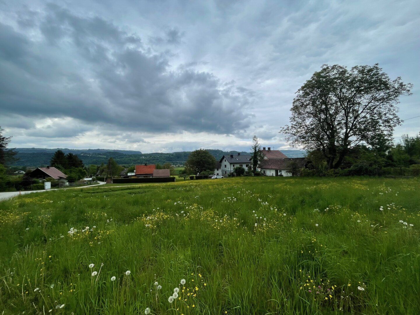 Ruhiges Landleben - Waldrand - Nähe Ferlach und Klagenfurt! - Ansicht 3