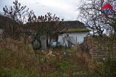 Neuer PREIS: BAUGRUND AM WALDRAND MIT VIELEN MÖGLICHKEITEN - NUR € 39.000 - Ansicht 3