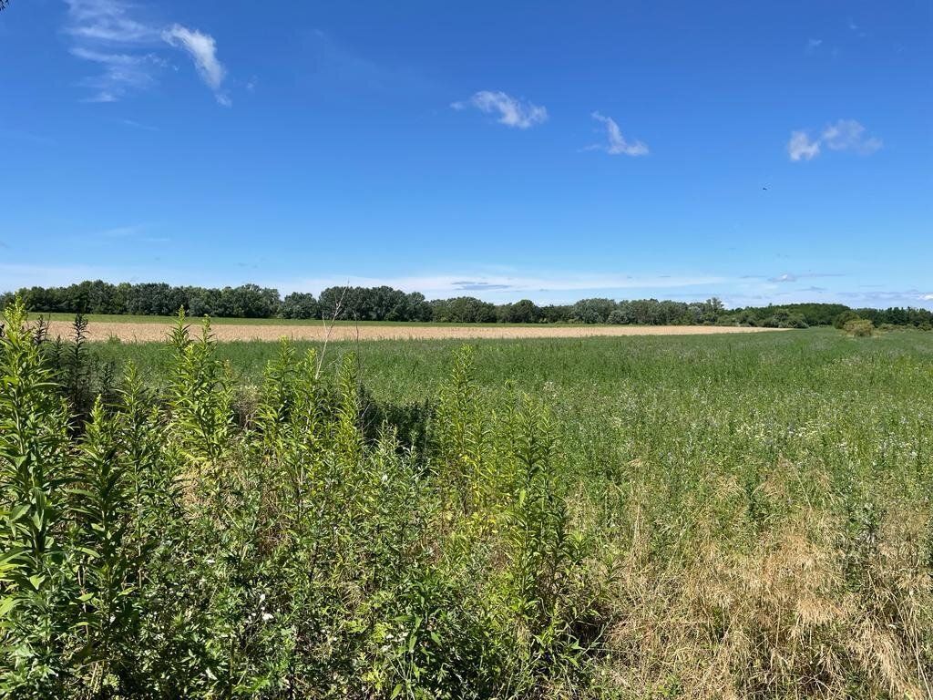 Für PV-Zwecke geeignete Grundstücke stehen im Raum Győr zum Verkauf - Ansicht 4
