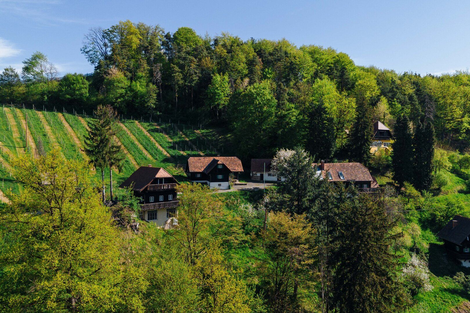 Südsteirisches Weinparadies: Über 5ha Grund, 5 Häuser und viele Ideen!