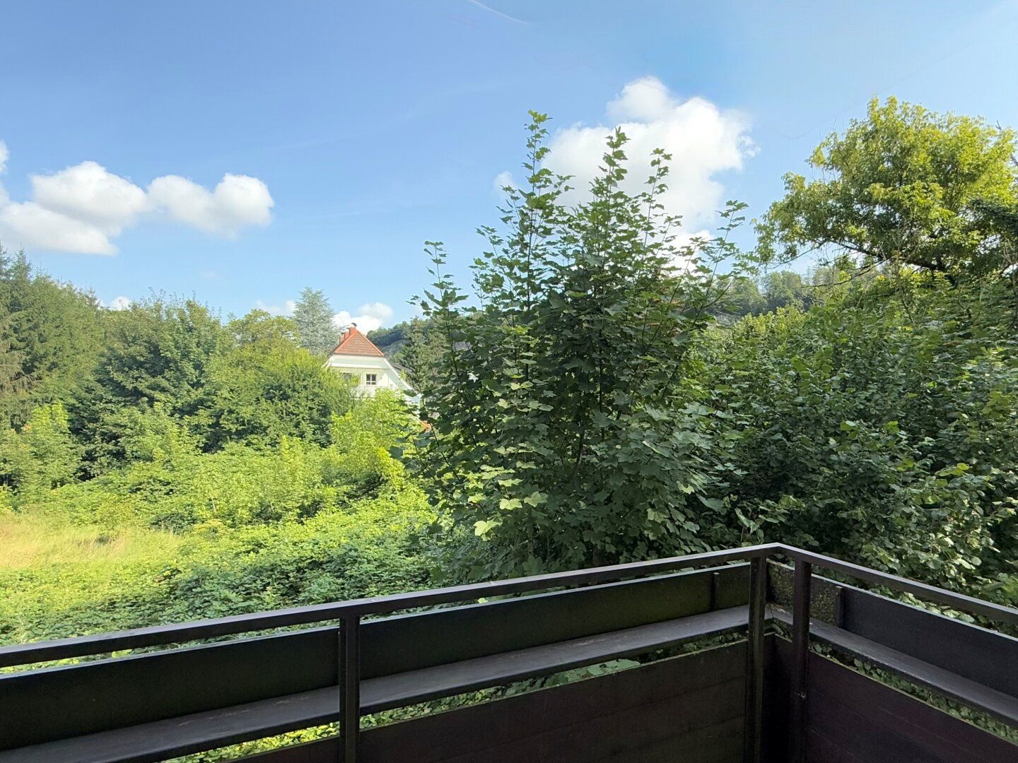 Anif - Charmante 3 Zimmer Wohnung mit Balkon