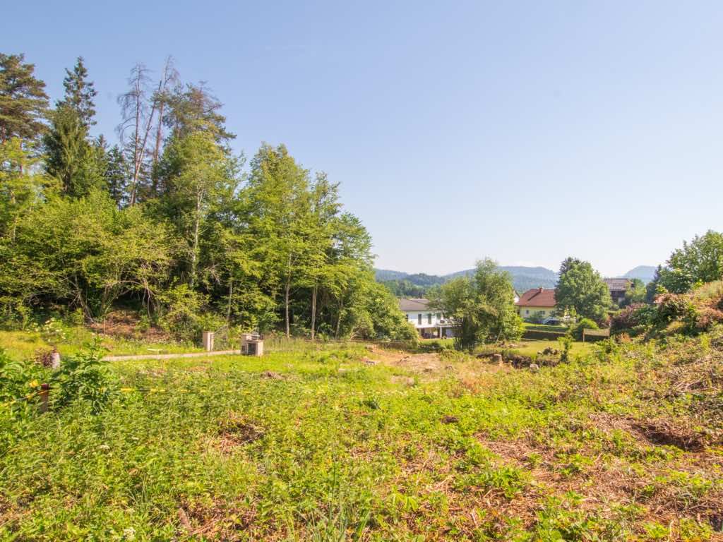 Provisionsfrei: Baugrund am Waldrand, sonnig und ruhig in Moosburg - Ansicht 5