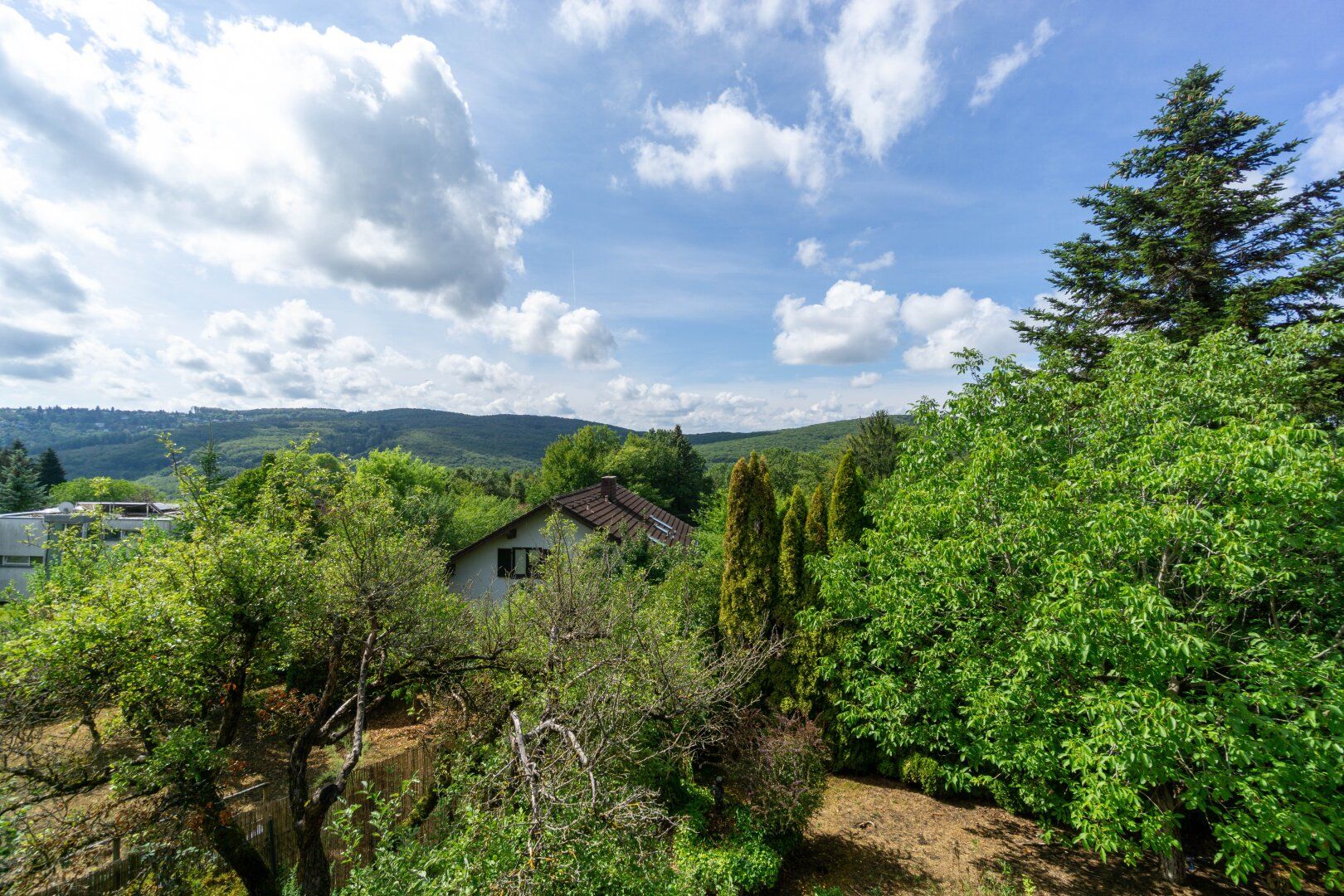 Traumhaftes Grundstück mit Wienerwaldfernblick und Althaus nahe Wien - Ansicht 5