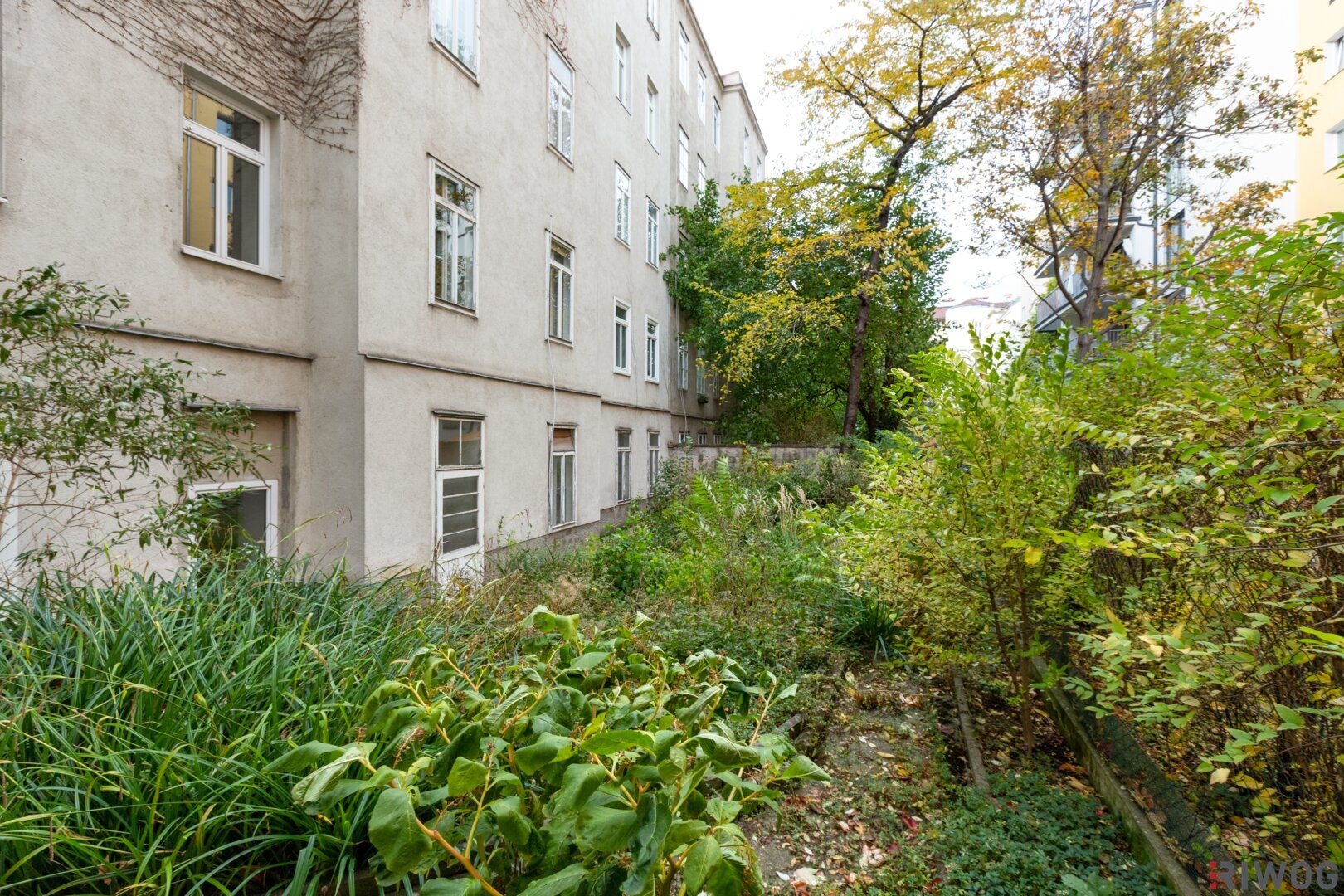 Wohnung – Wien - Mehr