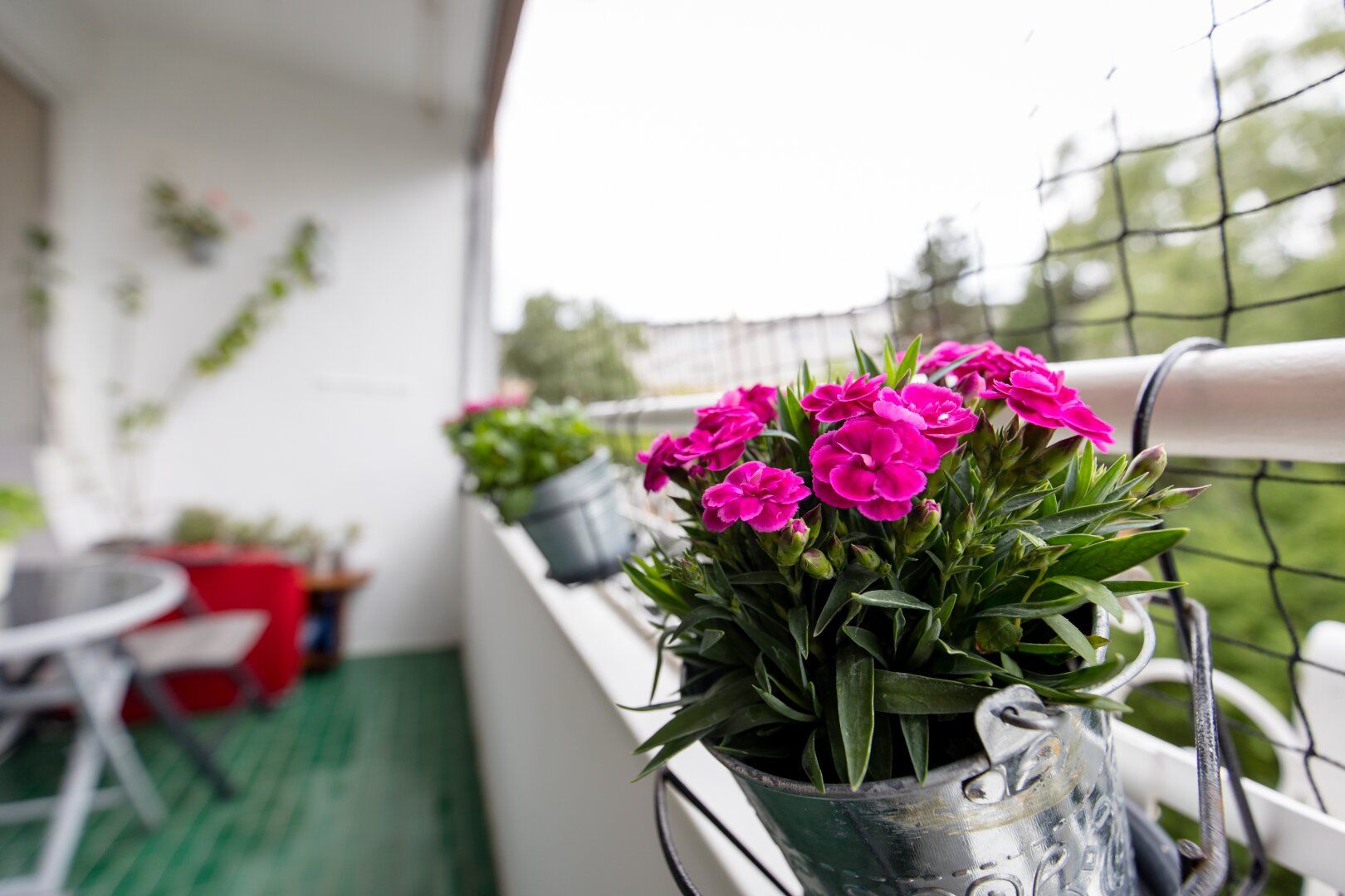 4-Zimmer-Wohnung mit Loggia | Schallmoos