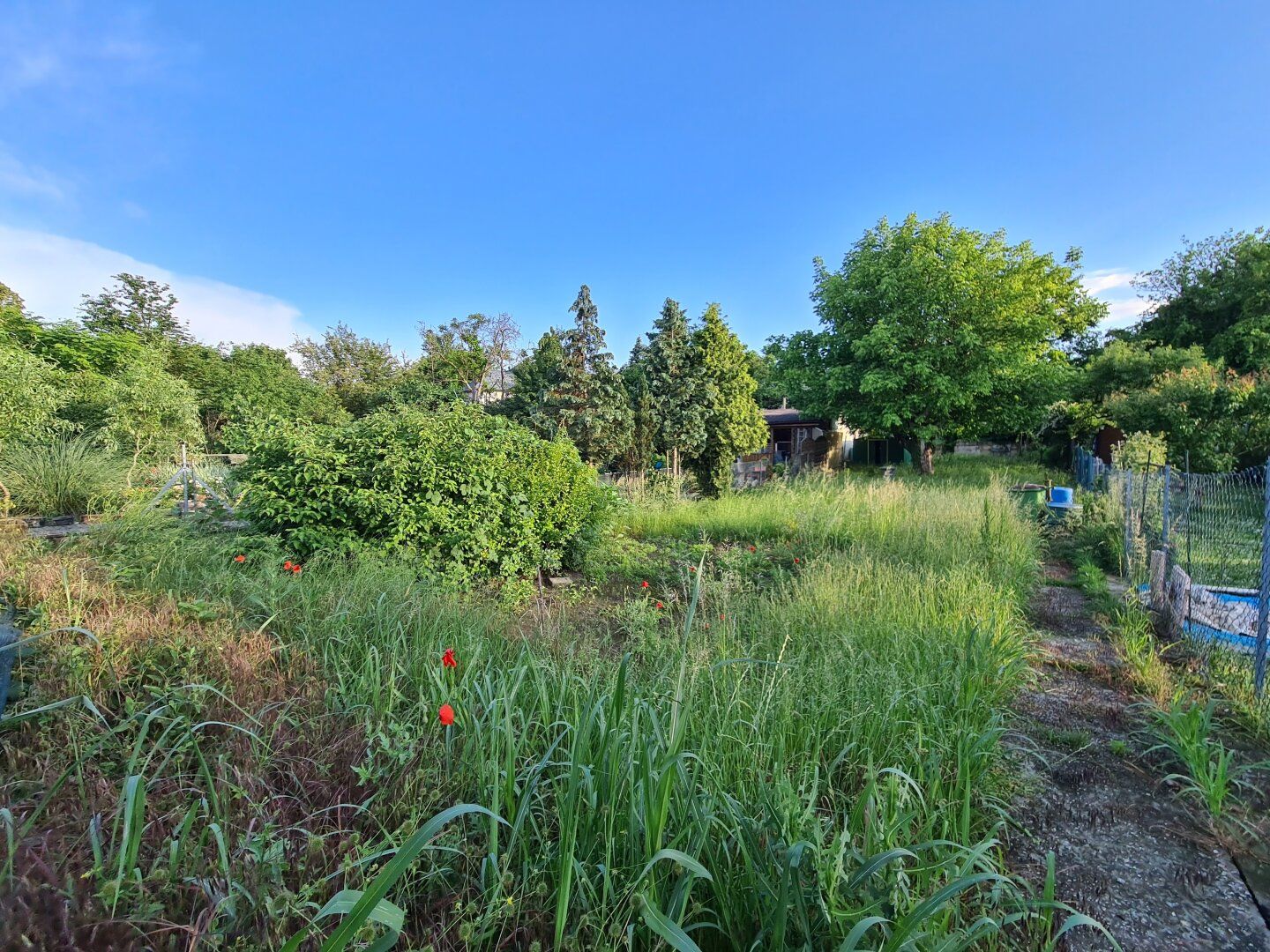 Traum-Eigengrund | Friedhof Großjedlersdorf - Ansicht 2