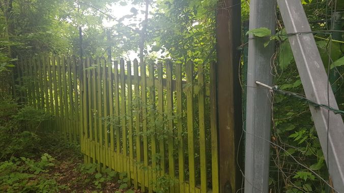 Eingangstür