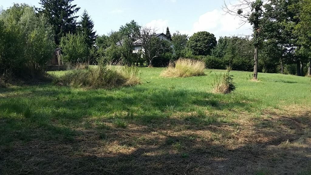 Grünland Tullnerfeld Aussichtslage - Ansicht 4