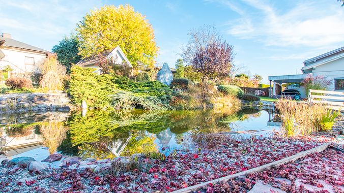 Naturschwimmteich