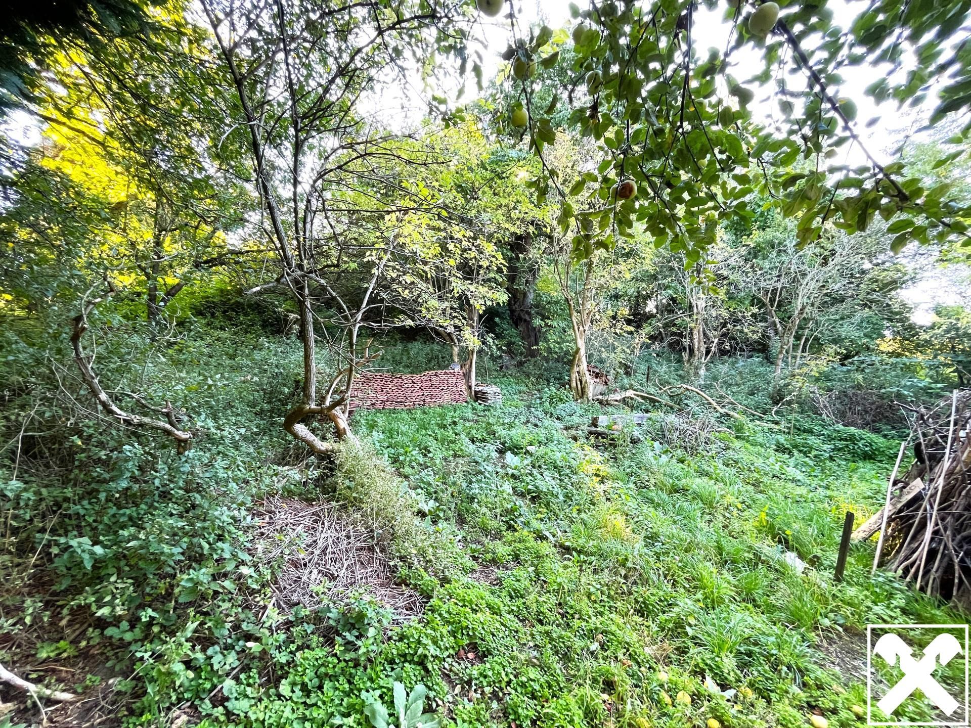 Natur pur! Grundstück mit Abrissobjekt! - Ansicht 3