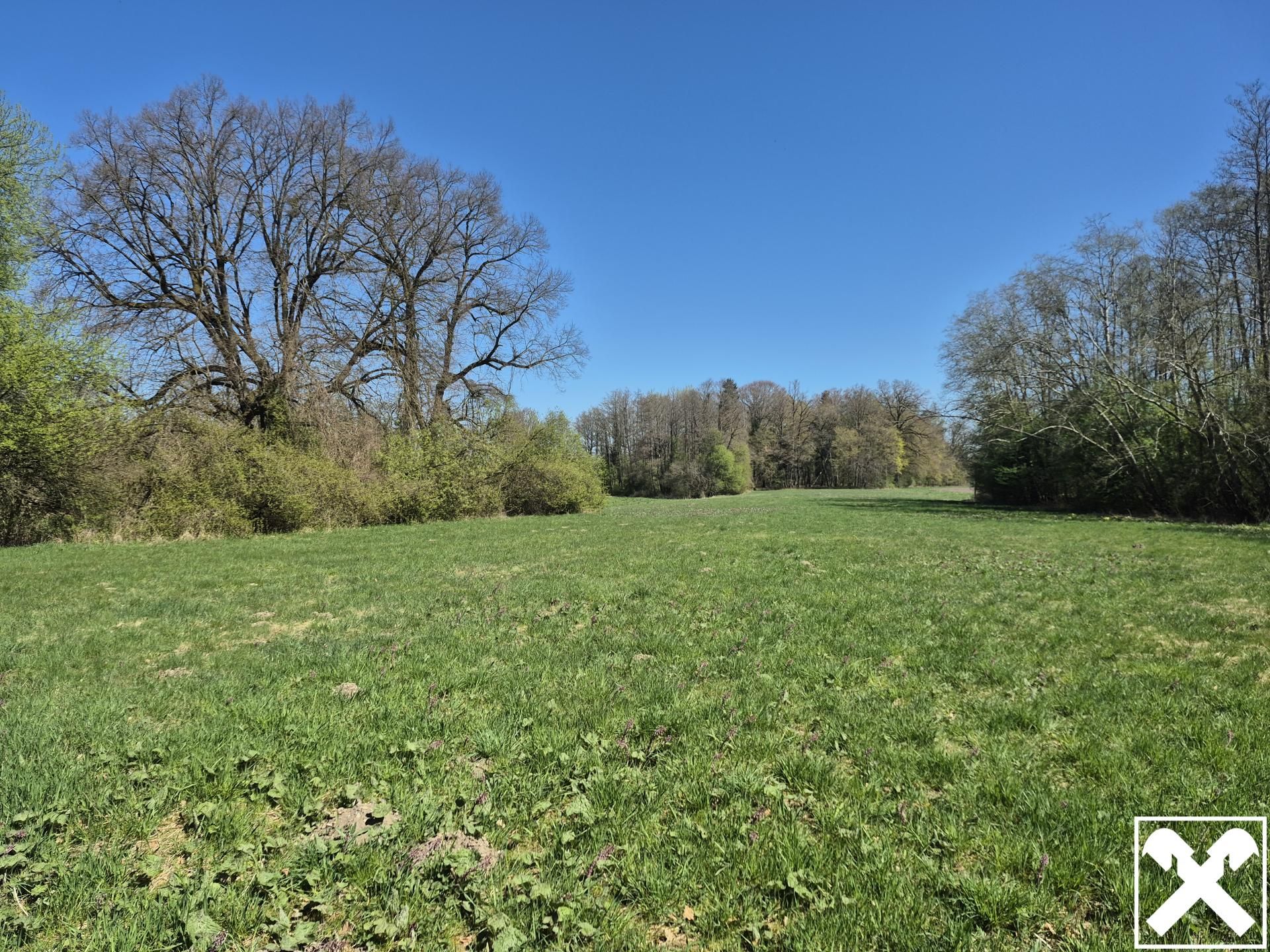 landwirtschaftlicher Grund mit Wald - Ansicht 4