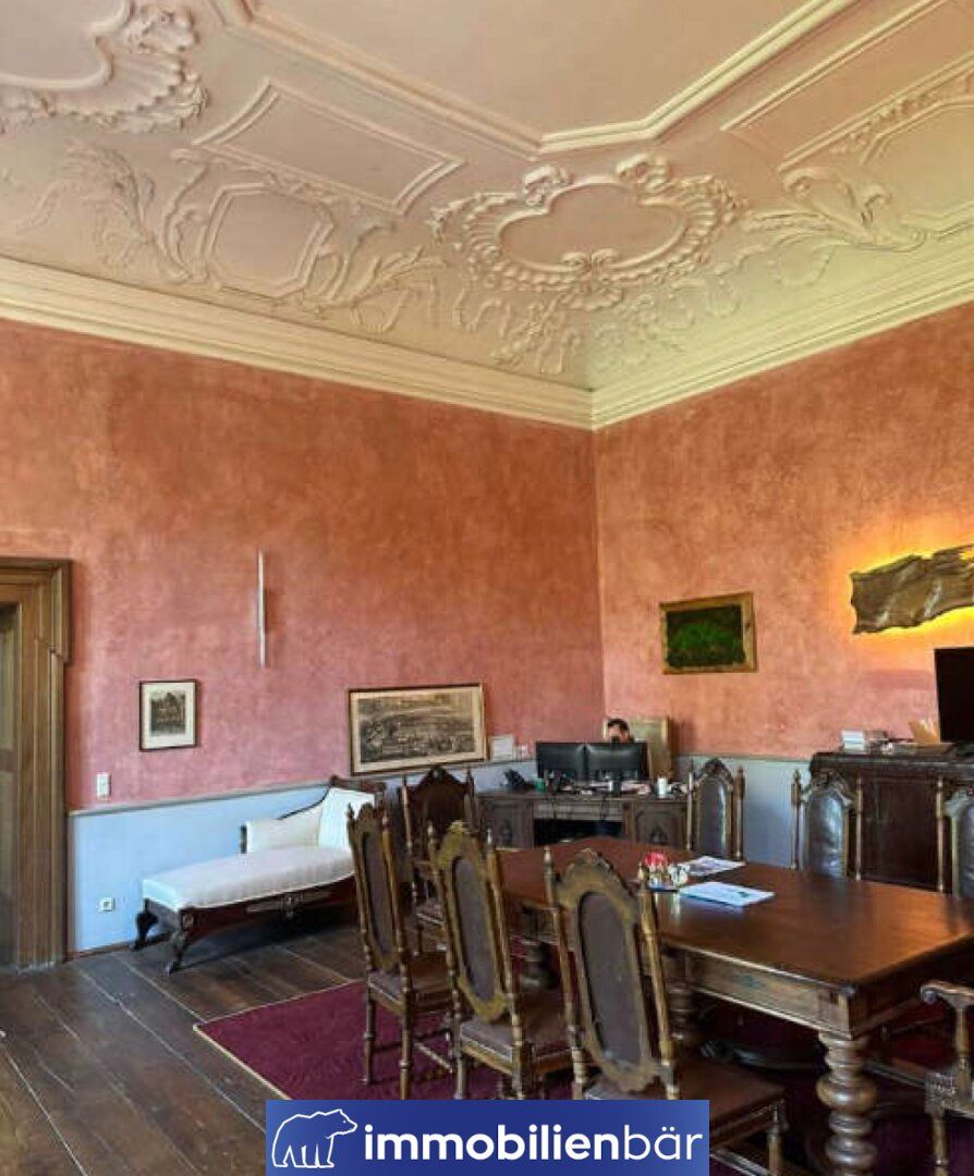 Repräsentative Büroflächen im Schloss mit Küche und Besprechungssaal - Ansicht 3