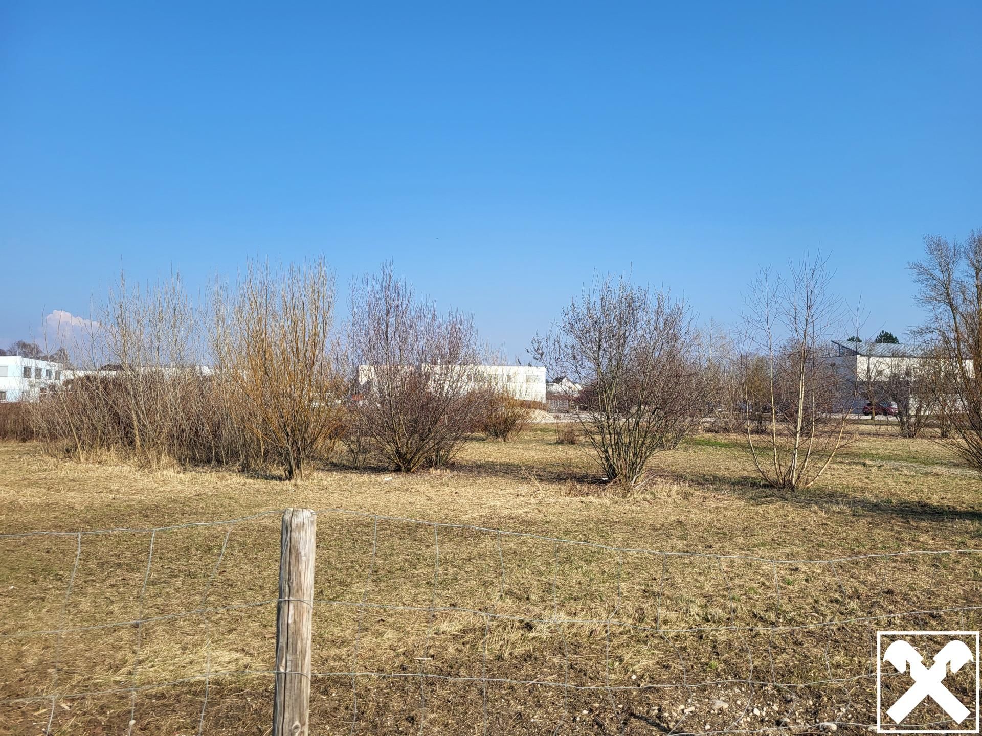 Baugrundstück Wels-Ost Ginzkeystraße - Ansicht 4