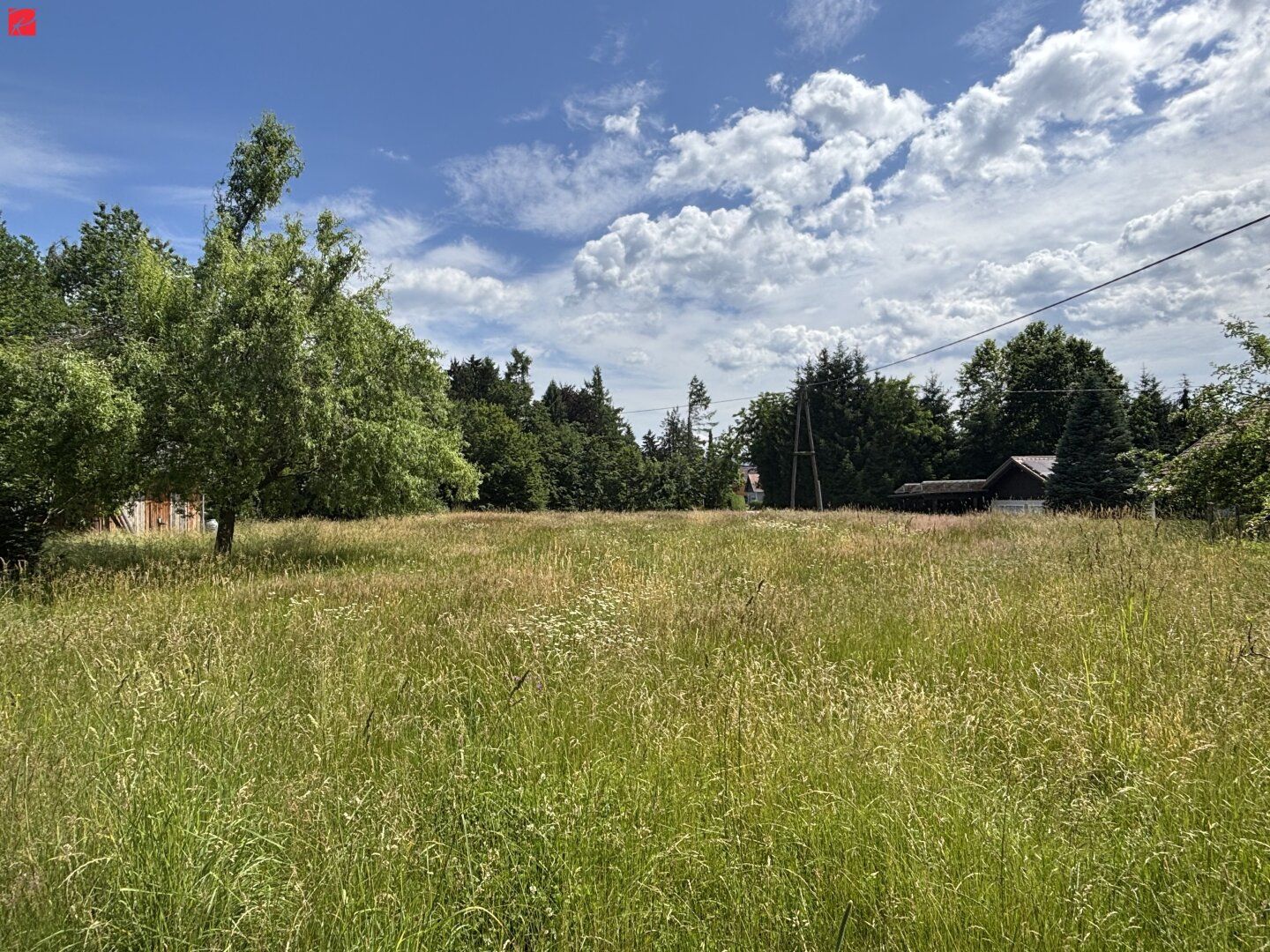 Ihr Traumgrund in ruhiger Lage