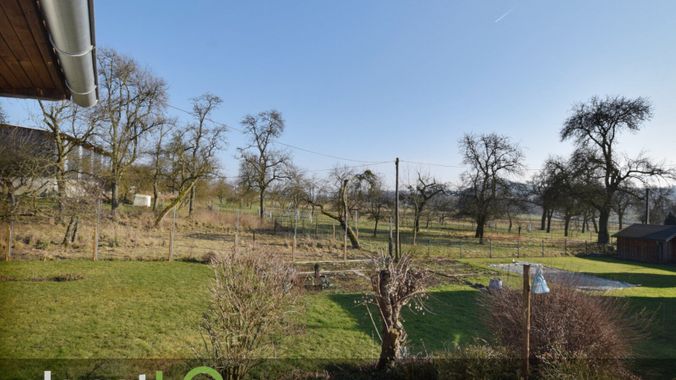 Gartenblick zur Streuobstwiese
