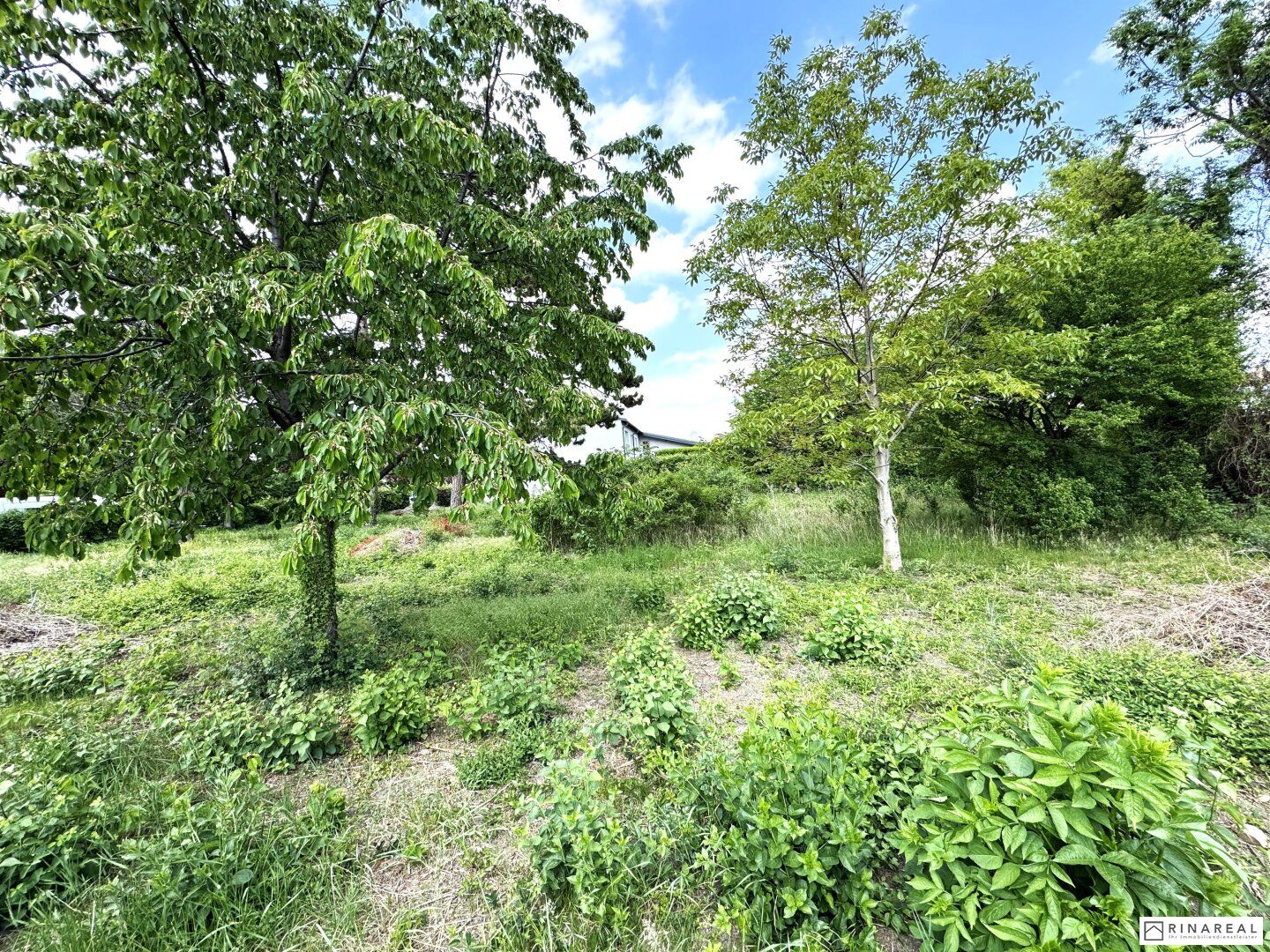 Zwei unbebaute Grundstücke | zusammen ca. 1.201 m² | Bauland Wohngebiet - maximal 2 Wohneinheiten pro GS | im Herzen von Leopoldsdorf - unweit der Hauptstraße - Ansicht 3