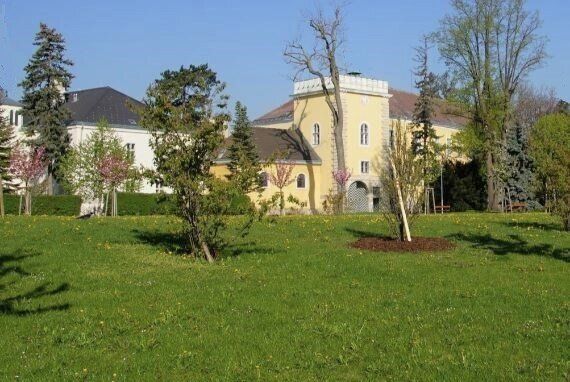 NÄHE SCHLOSS PERCHTOLDSDORF - 2-Zimmerwohnung in modernem Neubau