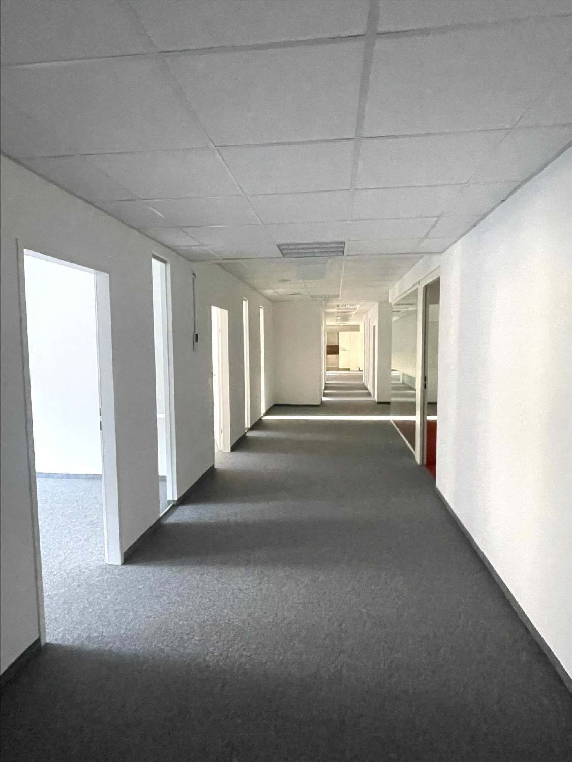 Barrierefreies und modern ausgestattetes Büro im Greenworx zu mieten - Ansicht 3