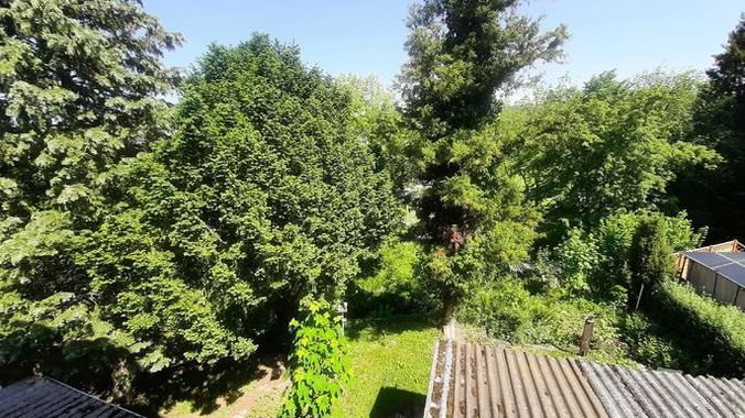 Blick in den Garten aus dem OG