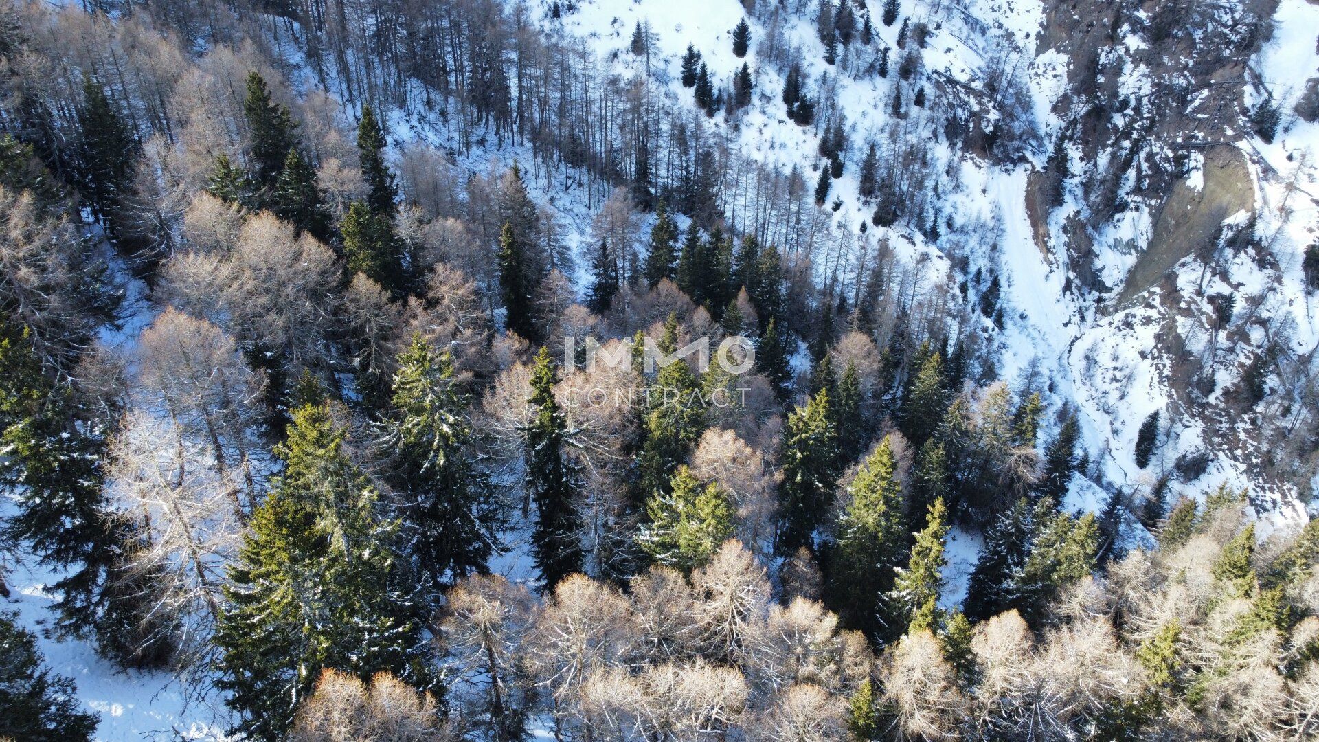 Waldparzellen am Fuße des Großglockners - Mehr
