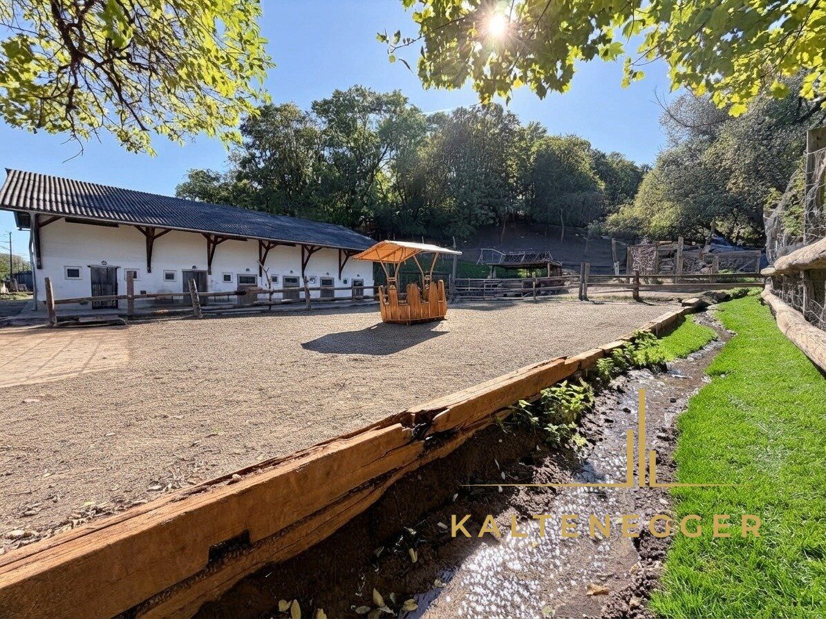 SONJAS RANCH - Pferdehof mit Teich auf Pachtgrund - Ansicht 2