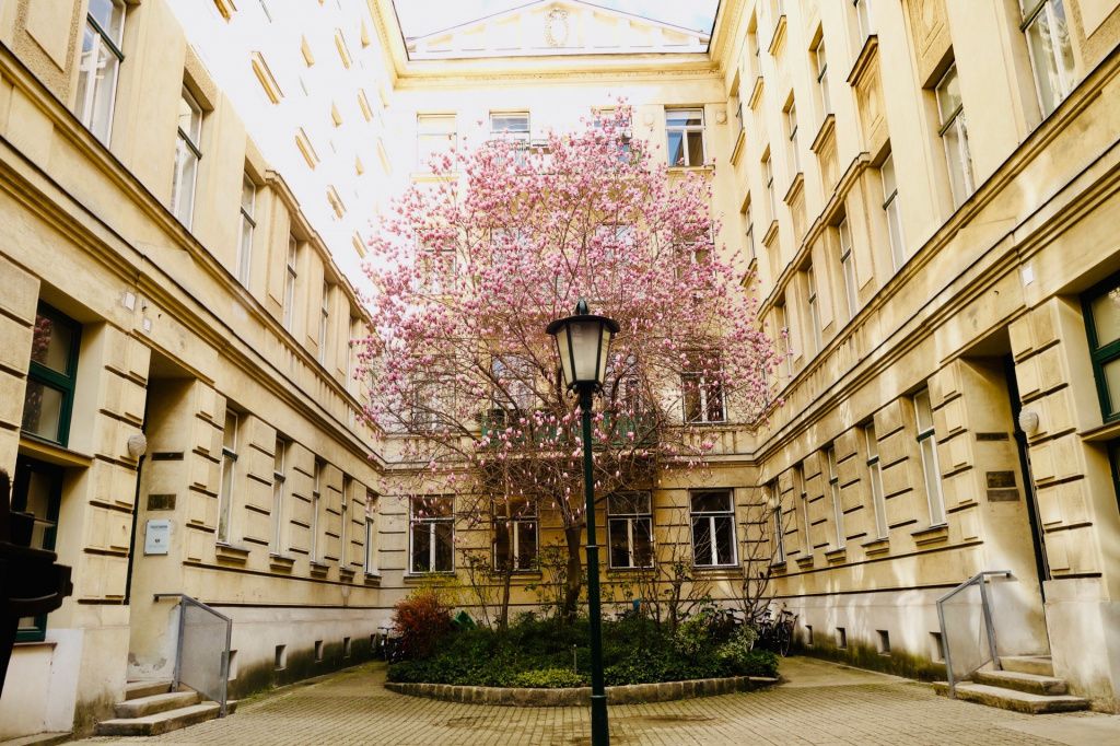 4 ZIMMER IN RUHELAGE | NÄHE SCHÖNBRUNN | JUGENDSTIL-JUWEL | ERSTBEZUG NACH KOMPLETTSANIERUNG