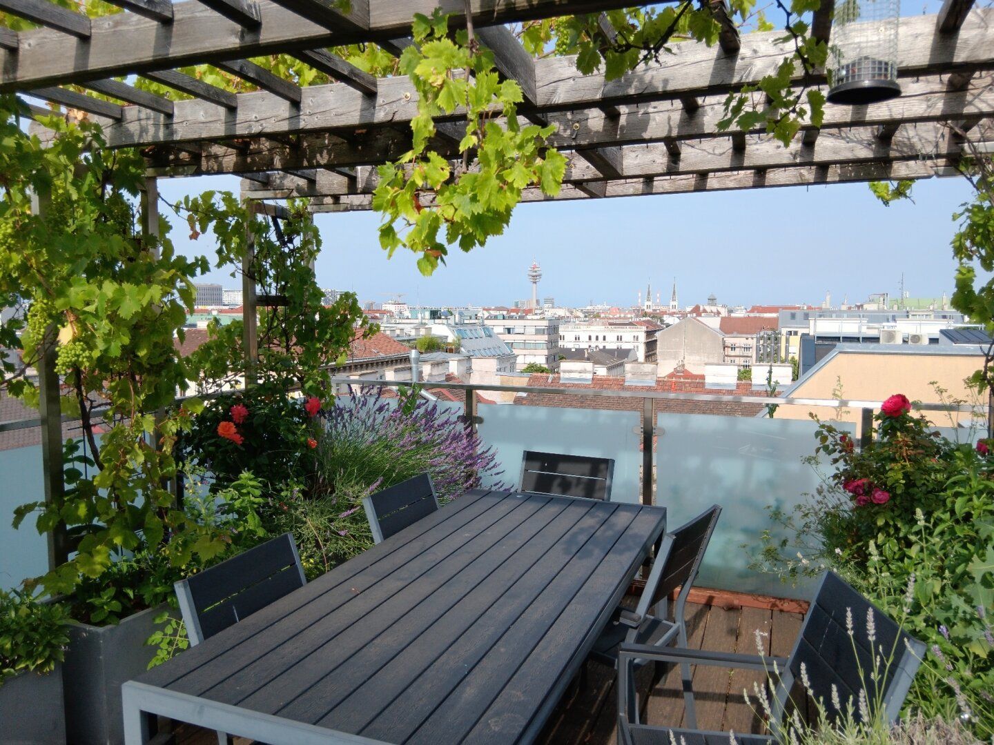 Neuwertige Eigentumswohnung mit Dachterrasse in 1100 Wien mit Fernblick !